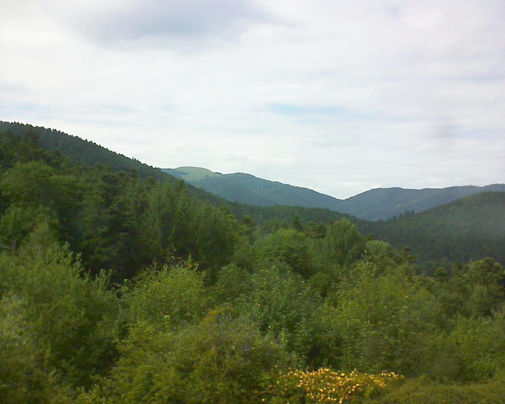 Le petit ballon vu depuis le Domaine Langmatt à Murbach le 16.07.2017 à 16:45 Le petit ballon (Alsace, Vosges) le 16.07.2017 à 16:45