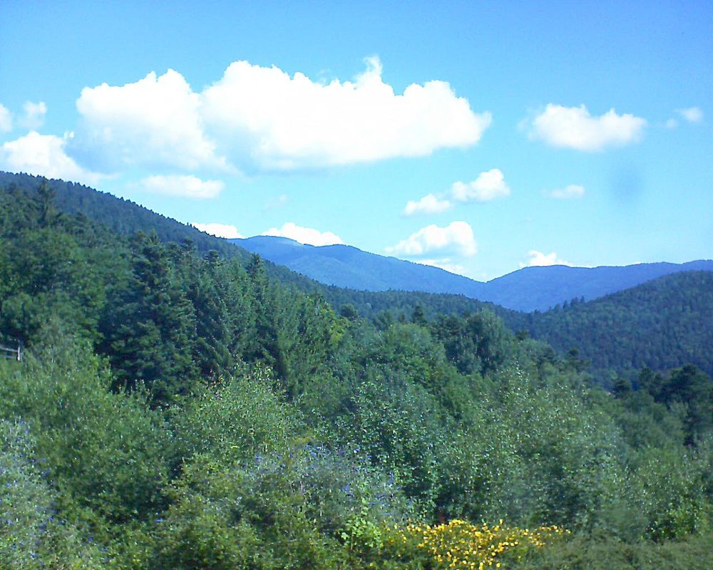 Le petit ballon vu depuis le Domaine Langmatt à Murbach le 17.07.2017 à 11:00 Le petit ballon (Alsace, Vosges) le 17.07.2017 à 11:00