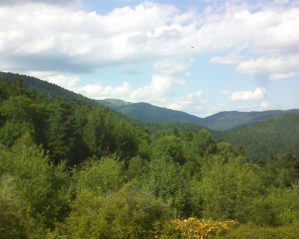 Le petit ballon vu depuis le Domaine Langmatt à Murbach le 17.07.2017 à 16:30 Le petit ballon (Alsace, Vosges) le 17.07.2017 à 16:30