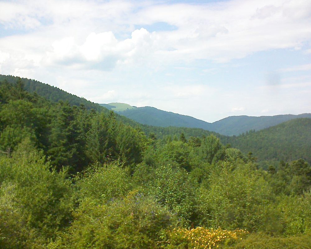 Le petit ballon vu depuis le Domaine Langmatt à Murbach le 18.07.2017 à 15:45 Le petit ballon (Alsace, Vosges) le 18.07.2017 à 15:45