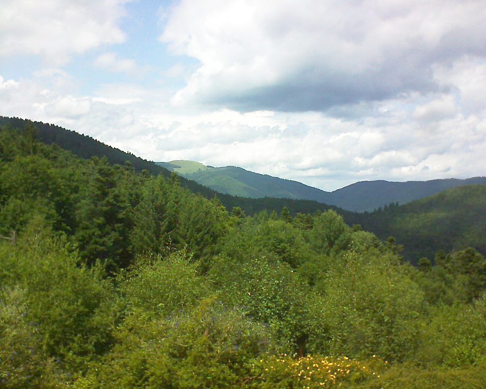 Le petit ballon vu depuis le Domaine Langmatt à Murbach le 20.07.2017 à 14:45 Le petit ballon (Alsace, Vosges) le 20.07.2017 à 14:45
