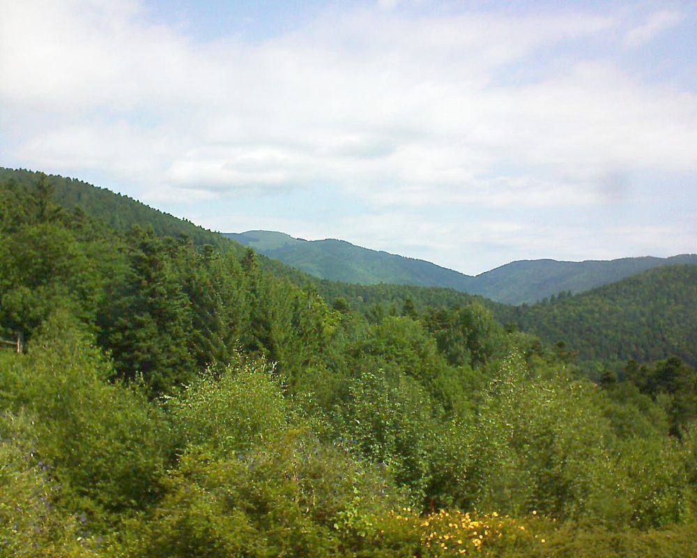 Le petit ballon vu depuis le Domaine Langmatt à Murbach le 21.07.2017 à 11:00 Le petit ballon (Alsace, Vosges) le 21.07.2017 à 11:00