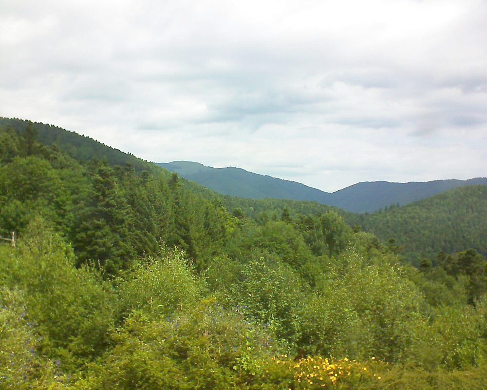 Le petit ballon vu depuis le Domaine Langmatt à Murbach le 21.07.2017 à 11:45 Le petit ballon (Alsace, Vosges) le 21.07.2017 à 11:45