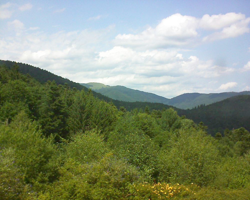Le petit ballon vu depuis le Domaine Langmatt à Murbach le 21.07.2017 à 14:30 Le petit ballon (Alsace, Vosges) le 21.07.2017 à 14:30
