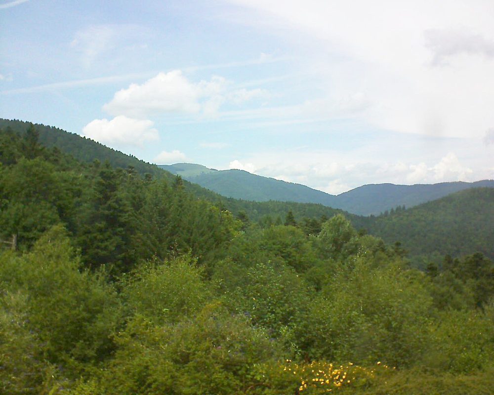 Le petit ballon vu depuis le Domaine Langmatt à Murbach le 22.07.2017 à 14:00 Le petit ballon (Alsace, Vosges) le 22.07.2017 à 14:00