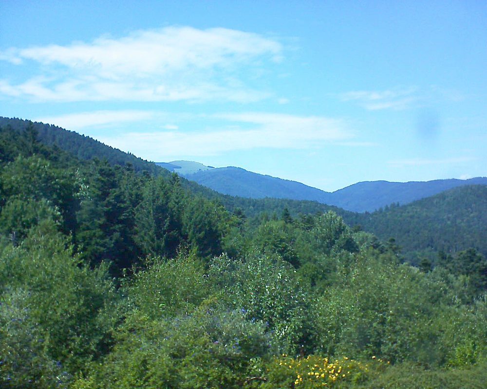 Le petit ballon vu depuis le Domaine Langmatt à Murbach le 22.07.2017 à 15:45 Le petit ballon (Alsace, Vosges) le 22.07.2017 à 15:45