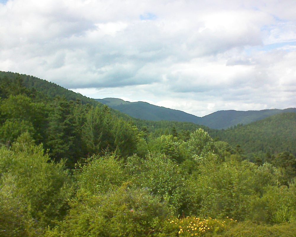 Le petit ballon vu depuis le Domaine Langmatt à Murbach le 23.07.2017 à 16:30 Le petit ballon (Alsace, Vosges) le 23.07.2017 à 16:30