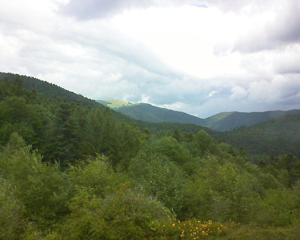 Le petit ballon vu depuis le Domaine Langmatt à Murbach le 25.07.2017 à 14:15 Le petit ballon (Alsace, Vosges) le 25.07.2017 à 14:15