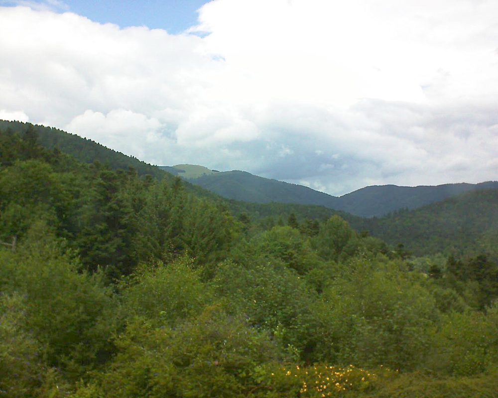 Le petit ballon vu depuis le Domaine Langmatt à Murbach le 25.07.2017 à 14:45 Le petit ballon (Alsace, Vosges) le 25.07.2017 à 14:45