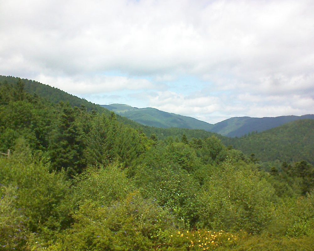 Le petit ballon vu depuis le Domaine Langmatt à Murbach le 26.07.2017 à 14:00 Le petit ballon (Alsace, Vosges) le 26.07.2017 à 14:00