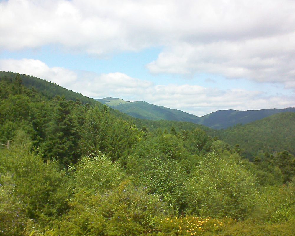 Le petit ballon vu depuis le Domaine Langmatt à Murbach le 26.07.2017 à 14:15 Le petit ballon (Alsace, Vosges) le 26.07.2017 à 14:15