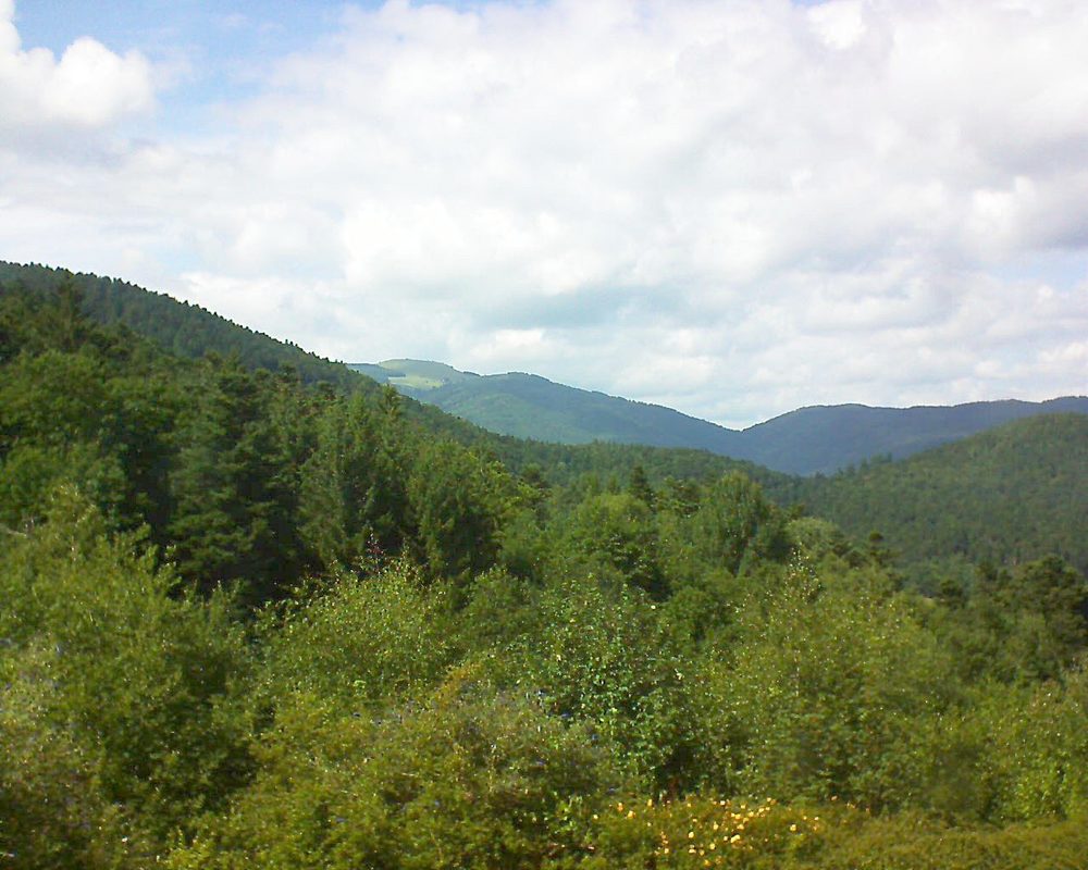 Le petit ballon vu depuis le Domaine Langmatt à Murbach le 26.07.2017 à 16:00 Le petit ballon (Alsace, Vosges) le 26.07.2017 à 16:00