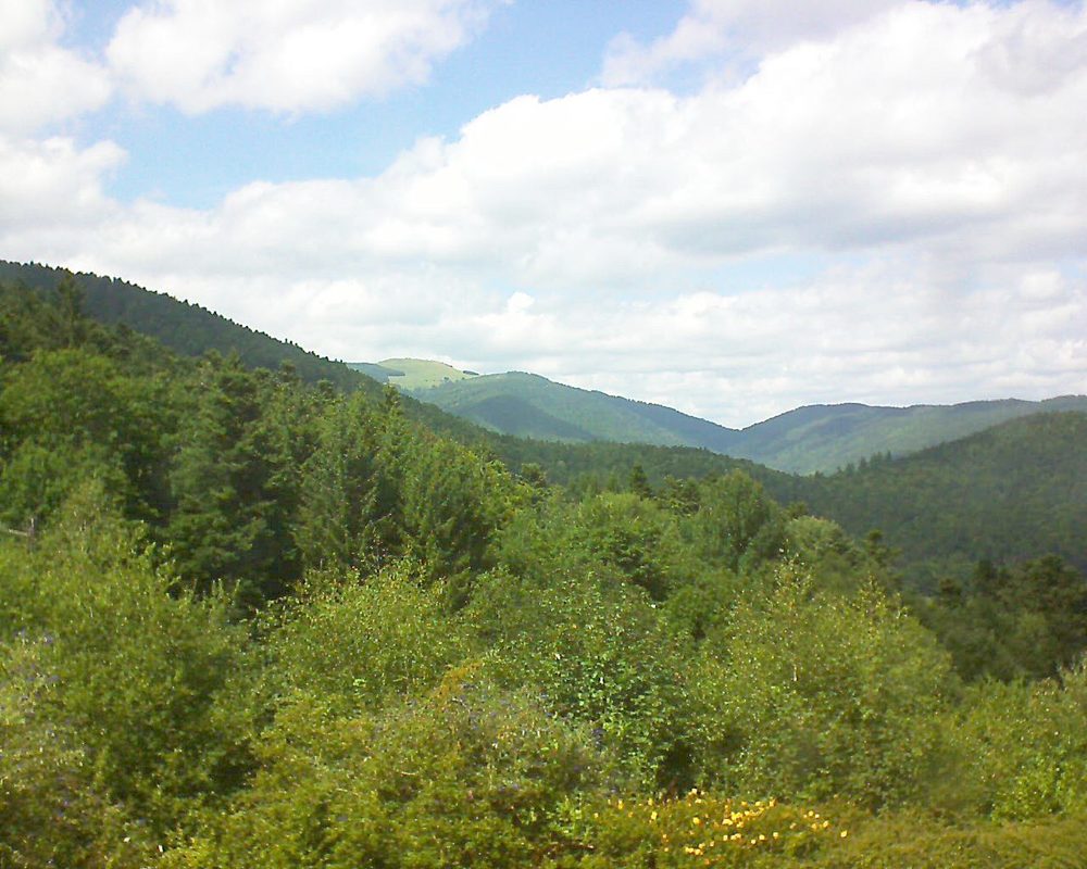 Le petit ballon vu depuis le Domaine Langmatt à Murbach le 28.07.2017 à 15:15 Le petit ballon (Alsace, Vosges) le 28.07.2017 à 15:15