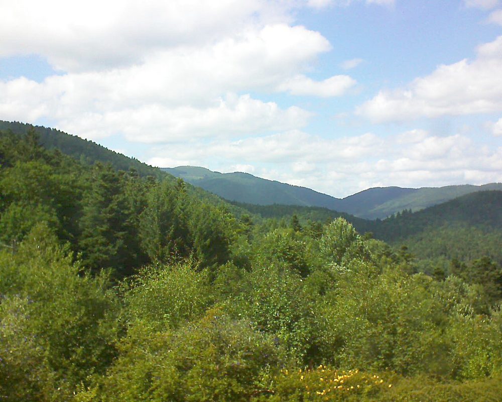 Le petit ballon vu depuis le Domaine Langmatt à Murbach le 28.07.2017 à 16:00 Le petit ballon (Alsace, Vosges) le 28.07.2017 à 16:00
