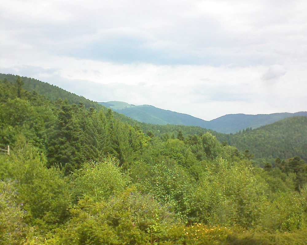 Le petit ballon vu depuis le Domaine Langmatt à Murbach le 31.07.2017 à 12:15 Le petit ballon (Alsace, Vosges) le 31.07.2017 à 12:15