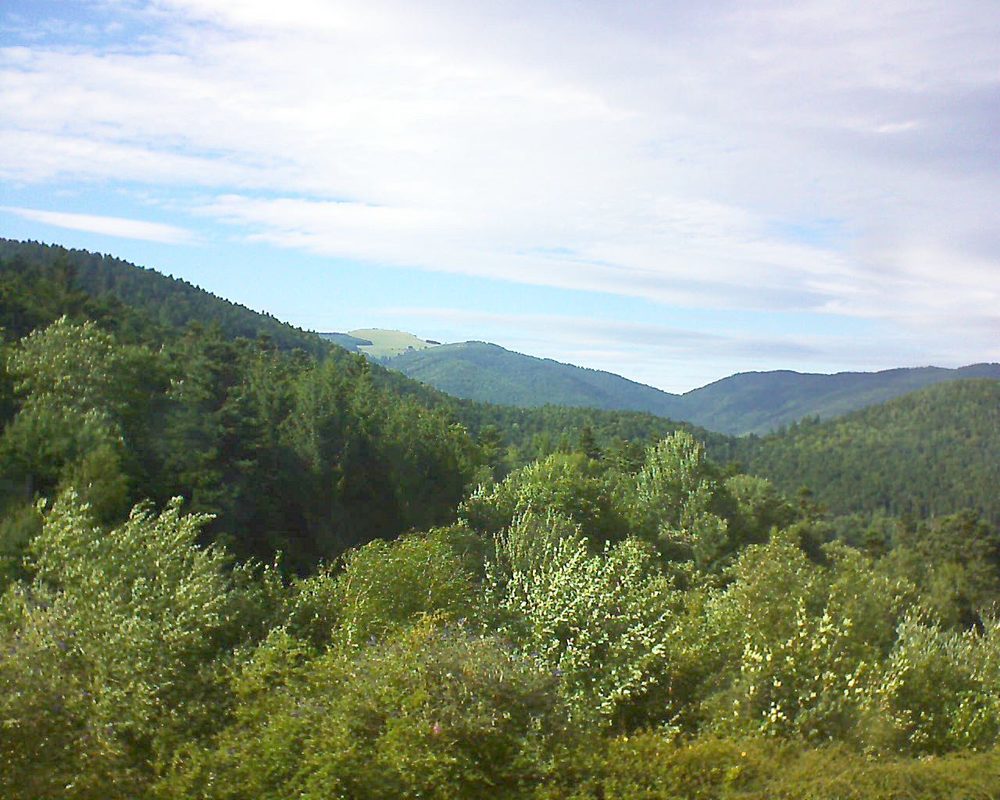 Le petit ballon vu depuis le Domaine Langmatt à Murbach le 04.08.2017 à 17:15 Le petit ballon (Alsace, Vosges) le 04.08.2017 à 17:15