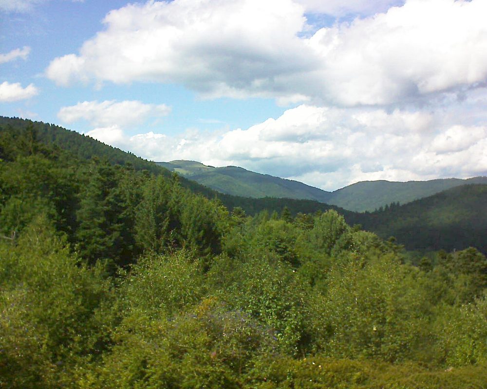 Le petit ballon vu depuis le Domaine Langmatt à Murbach le 14.08.2017 à 15:30 Le petit ballon (Alsace, Vosges) le 14.08.2017 à 15:30