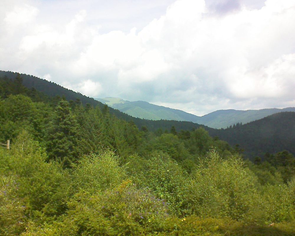 Le petit ballon vu depuis le Domaine Langmatt à Murbach le 16.08.2017 à 12:45 Le petit ballon (Alsace, Vosges) le 16.08.2017 à 12:45