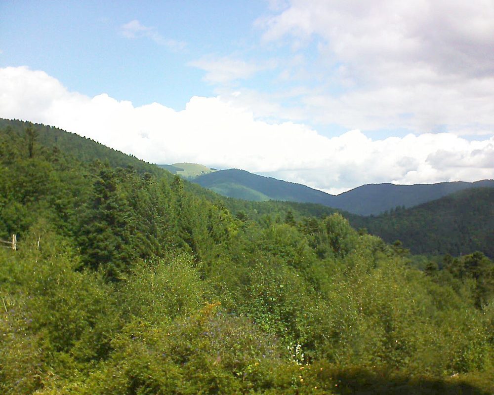 Le petit ballon vu depuis le Domaine Langmatt à Murbach le 19.08.2017 à 12:15 Le petit ballon (Alsace, Vosges) le 19.08.2017 à 12:15