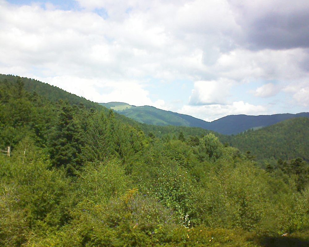 Le petit ballon vu depuis le Domaine Langmatt à Murbach le 19.08.2017 à 13:00 Le petit ballon (Alsace, Vosges) le 19.08.2017 à 13:00