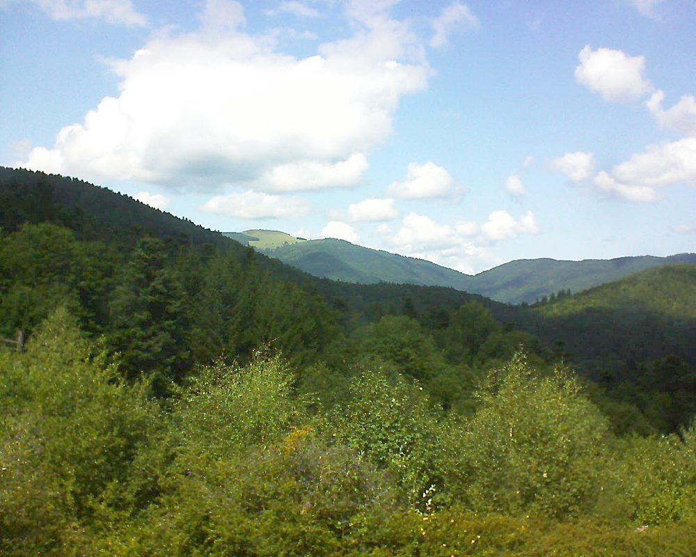 Le petit ballon vu depuis le Domaine Langmatt à Murbach le 19.08.2017 à 14:15 Le petit ballon (Alsace, Vosges) le 19.08.2017 à 14:15