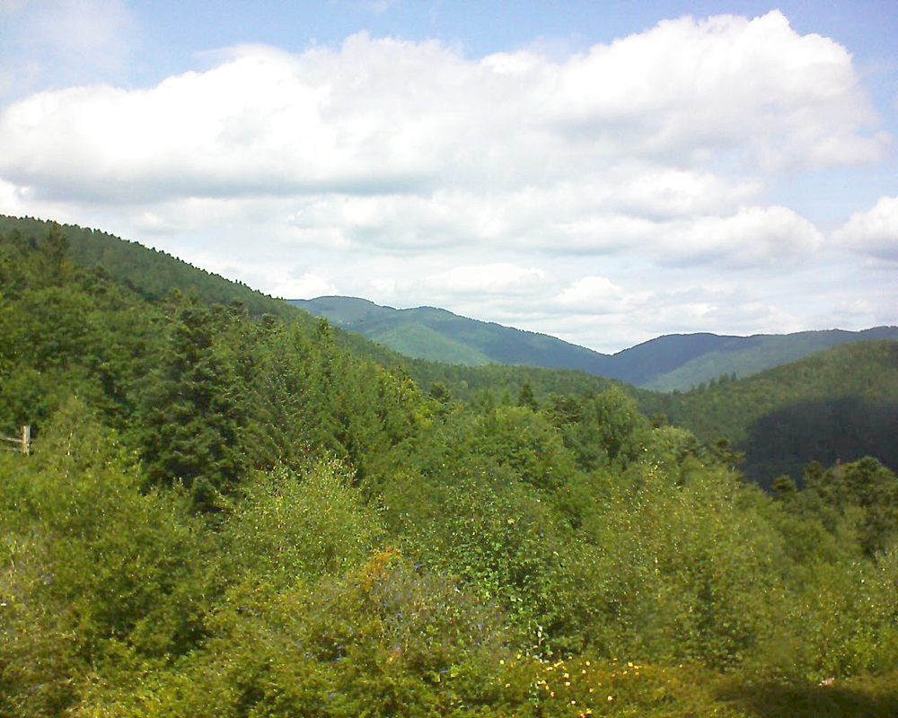 Le petit ballon vu depuis le Domaine Langmatt à Murbach le 21.08.2017 à 13:00 Le petit ballon (Alsace, Vosges) le 21.08.2017 à 13:00
