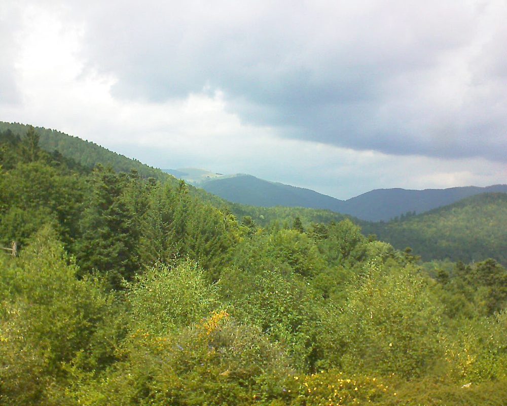 Le petit ballon vu depuis le Domaine Langmatt à Murbach le 01.09.2017 à 14:15 Le petit ballon (Alsace, Vosges) le 01.09.2017 à 14:15