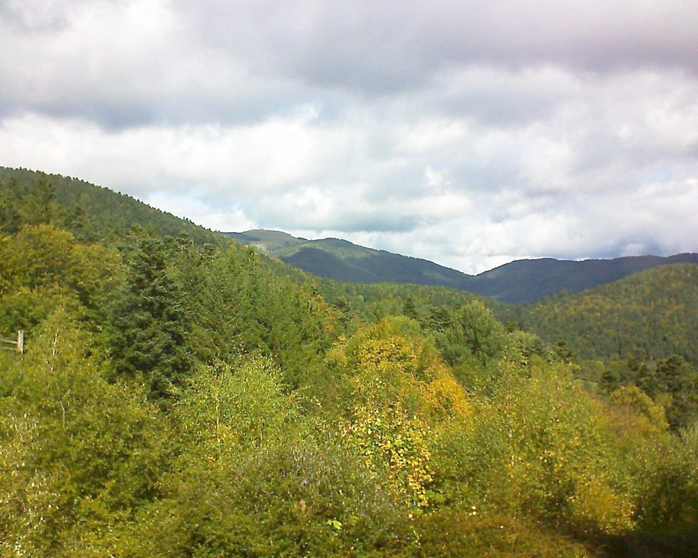 Le petit ballon vu depuis le Domaine Langmatt à Murbach le 03.10.2017 à 12:45 Le petit ballon (Alsace, Vosges) le 03.10.2017 à 12:45