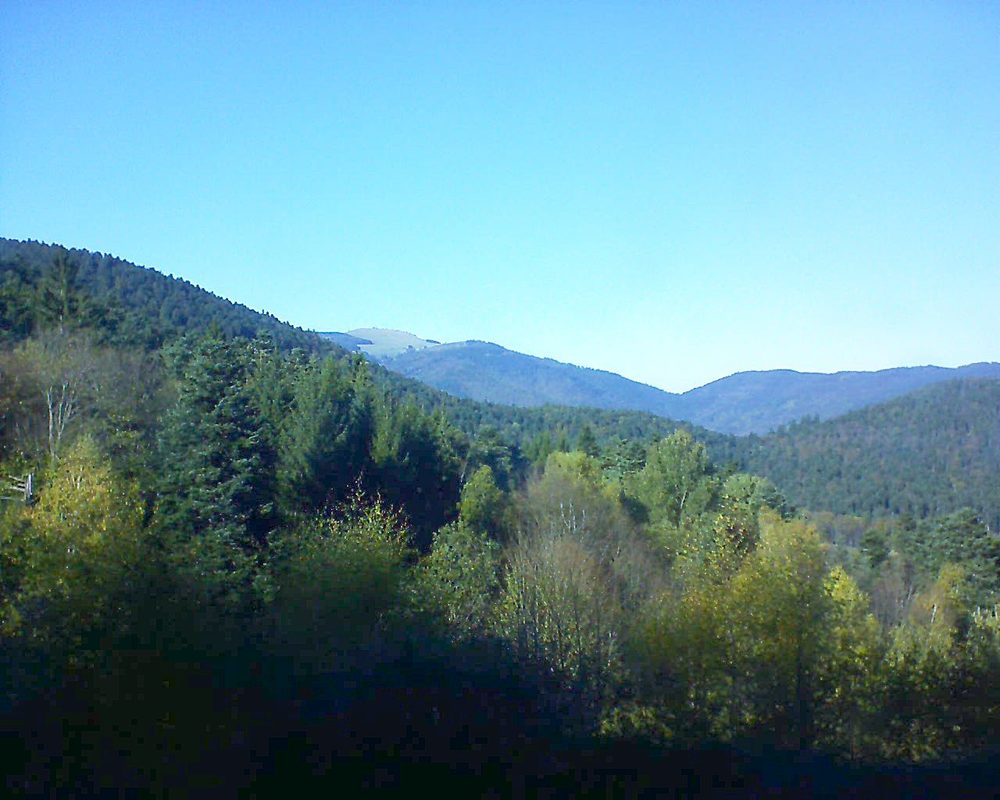Le petit ballon vu depuis le Domaine Langmatt à Murbach le 31.10.2017 à 14:15 Le petit ballon (Alsace, Vosges) le 31.10.2017 à 14:15