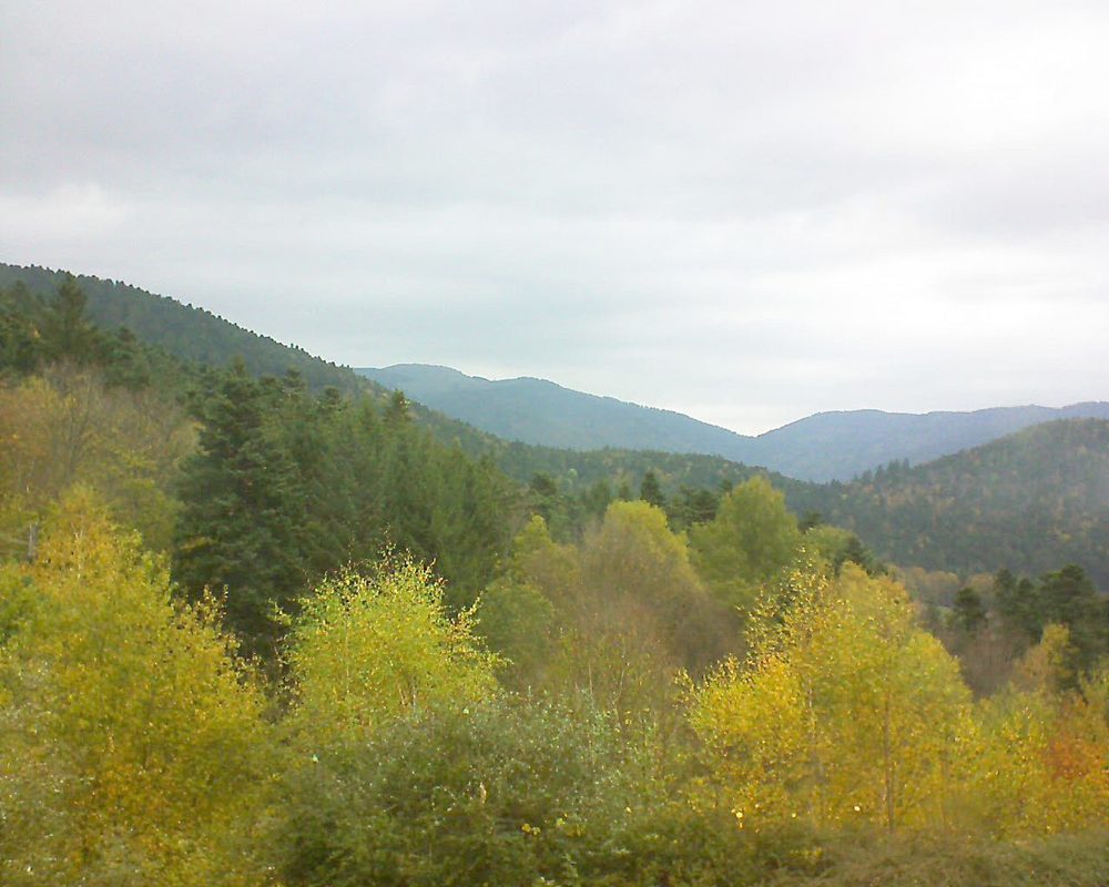 Le petit ballon vu depuis le Domaine Langmatt à Murbach le 02.11.2017 à 11:30 Le petit ballon (Alsace, Vosges) le 02.11.2017 à 11:30