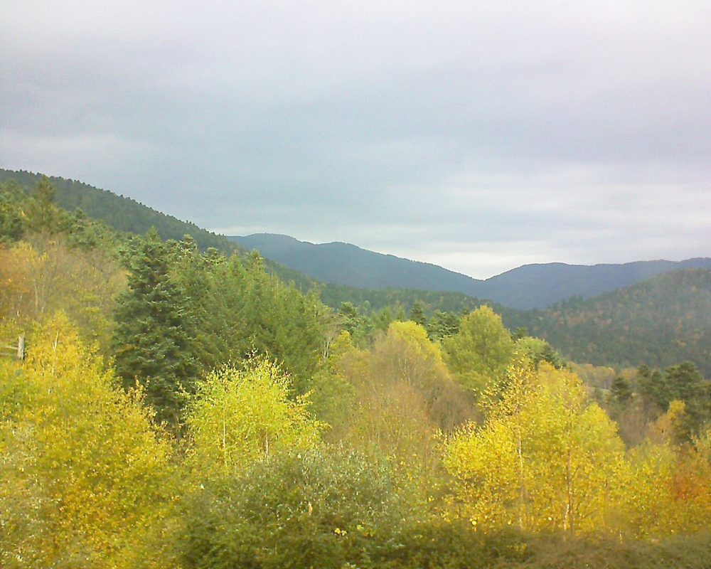 Le petit ballon vu depuis le Domaine Langmatt à Murbach le 02.11.2017 à 11:45 Le petit ballon (Alsace, Vosges) le 02.11.2017 à 11:45
