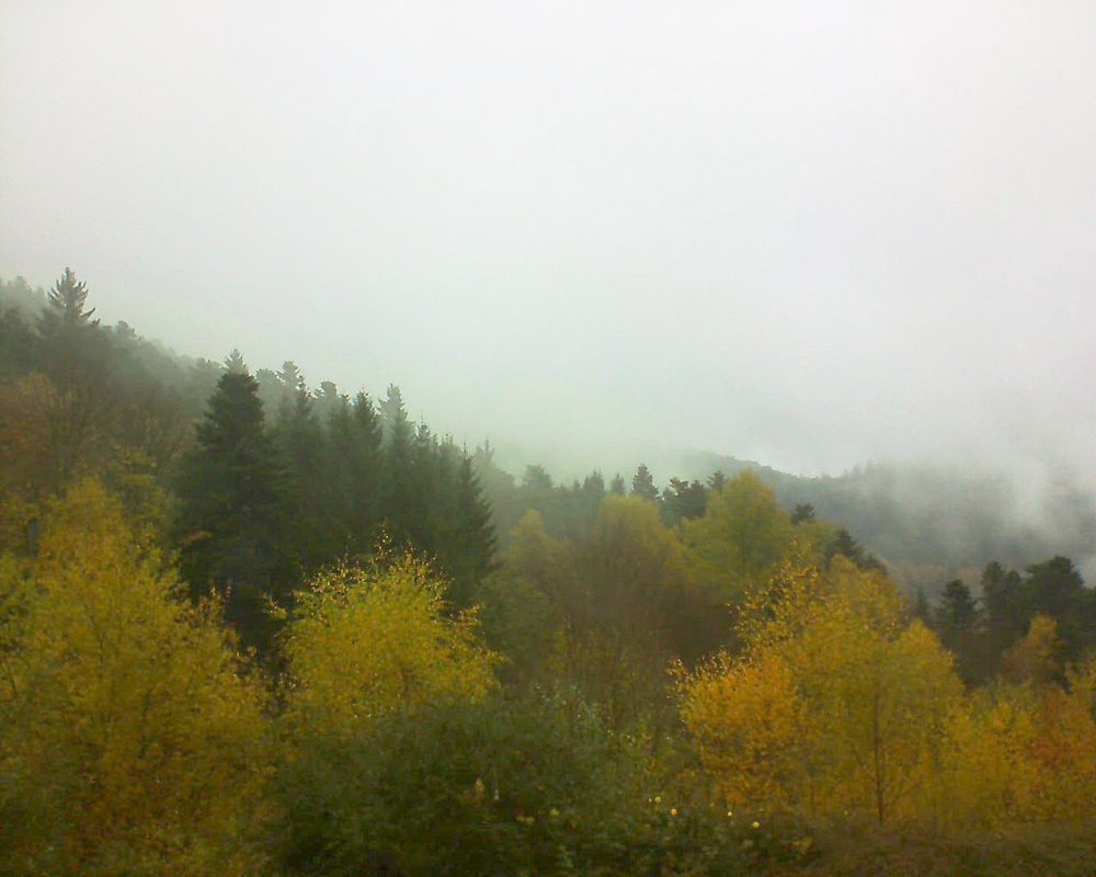 Le petit ballon vu depuis le Domaine Langmatt à Murbach le 08.11.2017 à 12:30 Le petit ballon (Alsace, Vosges) le 08.11.2017 à 12:30