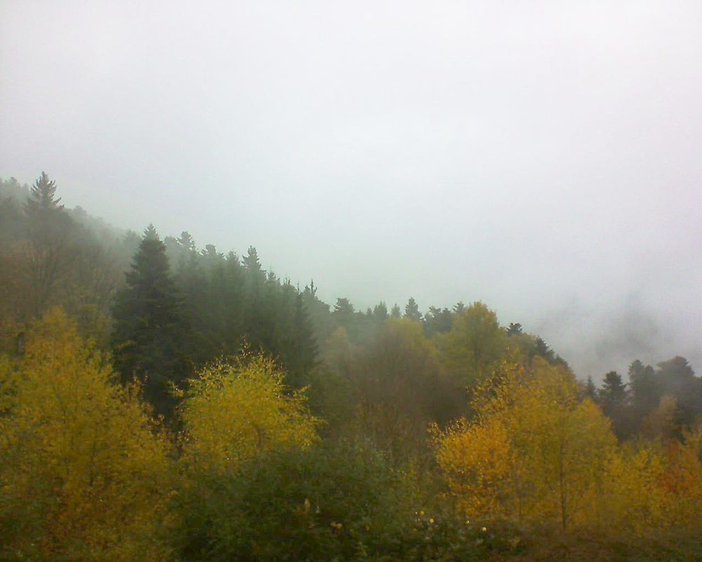Le petit ballon vu depuis le Domaine Langmatt à Murbach le 09.11.2017 à 11:15 Le petit ballon (Alsace, Vosges) le 09.11.2017 à 11:15