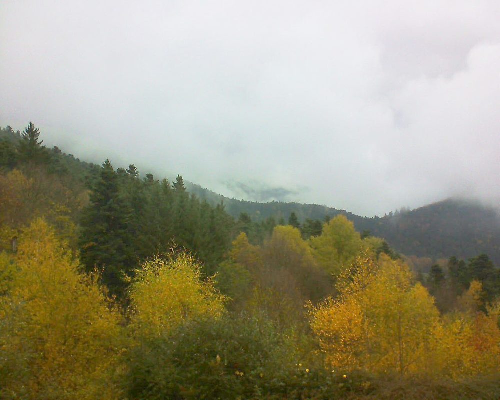 Le petit ballon vu depuis le Domaine Langmatt à Murbach le 09.11.2017 à 13:15 Le petit ballon (Alsace, Vosges) le 09.11.2017 à 13:15