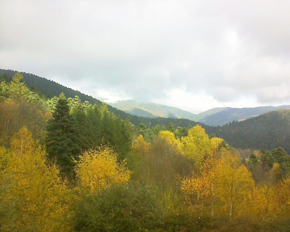 Le petit ballon vu depuis le Domaine Langmatt à Murbach le 14.11.2017 à 11:45 Le petit ballon (Alsace, Vosges) le 14.11.2017 à 11:45