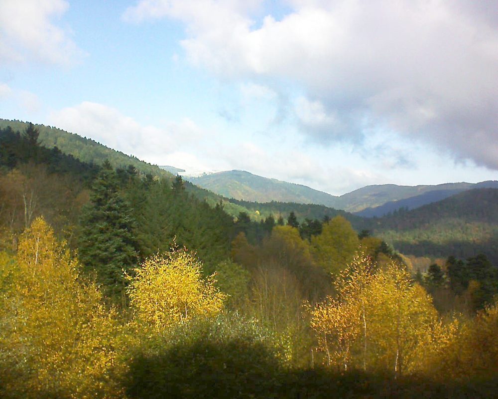 Le petit ballon vu depuis le Domaine Langmatt à Murbach le 14.11.2017 à 12:00 Le petit ballon (Alsace, Vosges) le 14.11.2017 à 12:00