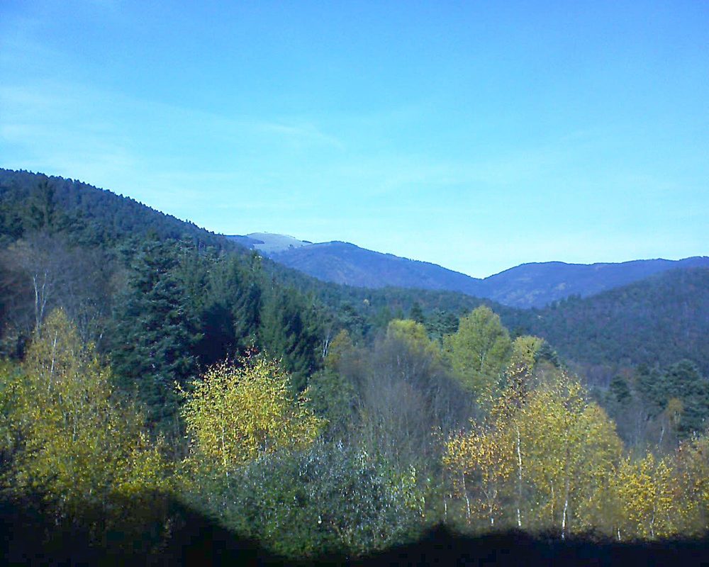 Le petit ballon vu depuis le Domaine Langmatt à Murbach le 15.11.2017 à 13:15 Le petit ballon (Alsace, Vosges) le 15.11.2017 à 13:15