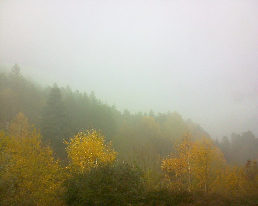 Le petit ballon vu depuis le Domaine Langmatt à Murbach le 16.11.2017 à 11:45 Le petit ballon (Alsace, Vosges) le 16.11.2017 à 11:45