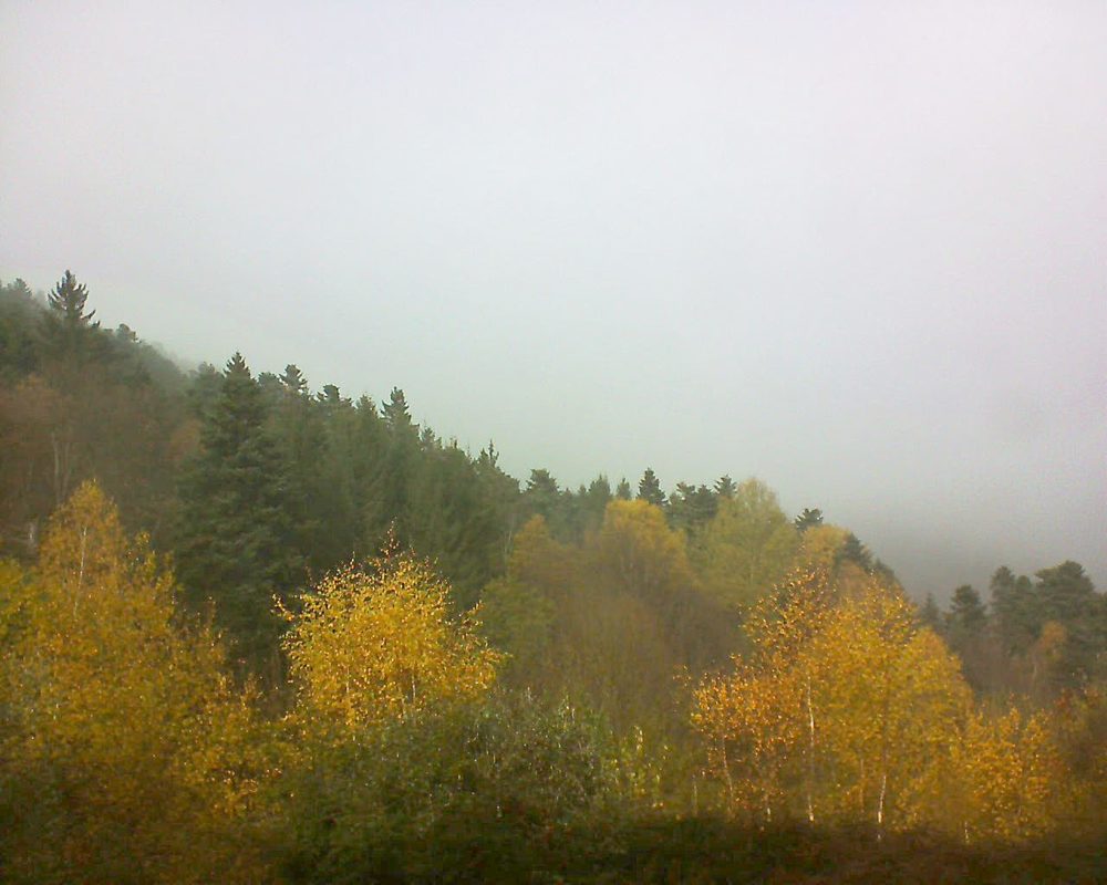 Le petit ballon vu depuis le Domaine Langmatt à Murbach le 16.11.2017 à 13:00 Le petit ballon (Alsace, Vosges) le 16.11.2017 à 13:00