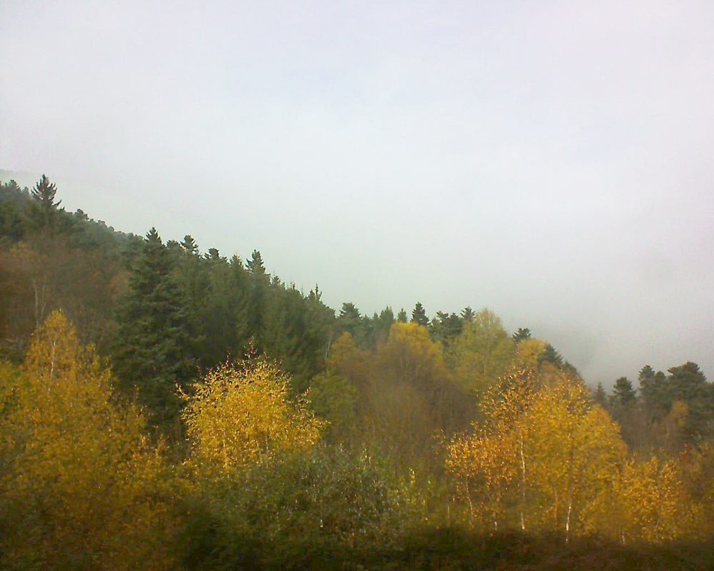 Le petit ballon vu depuis le Domaine Langmatt à Murbach le 16.11.2017 à 13:15 Le petit ballon (Alsace, Vosges) le 16.11.2017 à 13:15