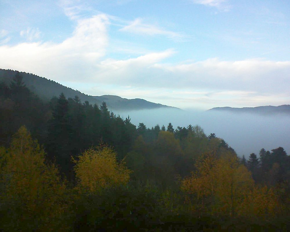Le petit ballon vu depuis le Domaine Langmatt à Murbach le 16.11.2017 à 16:15 Le petit ballon (Alsace, Vosges) le 16.11.2017 à 16:15