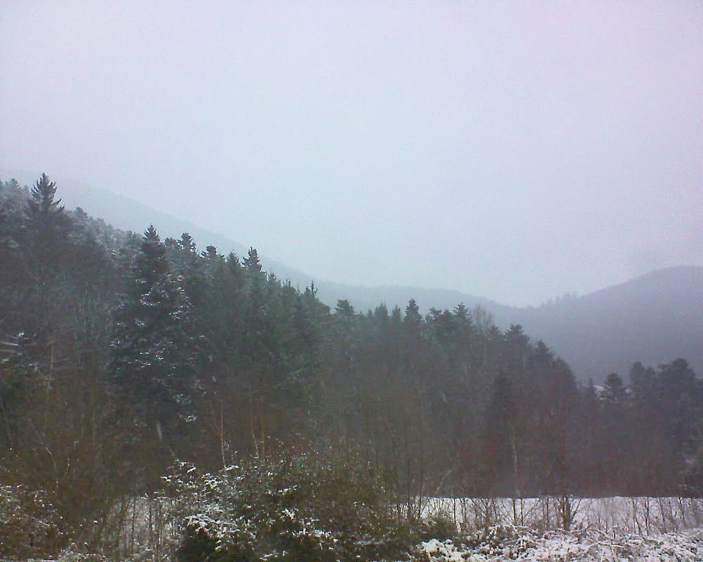 Le petit ballon vu depuis le Domaine Langmatt à Murbach le 15.12.2017 à 15:15 Le petit ballon (Alsace, Vosges) le 15.12.2017 à 15:15