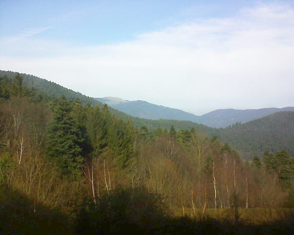 Le petit ballon vu depuis le Domaine Langmatt à Murbach le 08.01.2018 à 13:00 Le petit ballon (Alsace, Vosges) le 08.01.2018 à 13:00