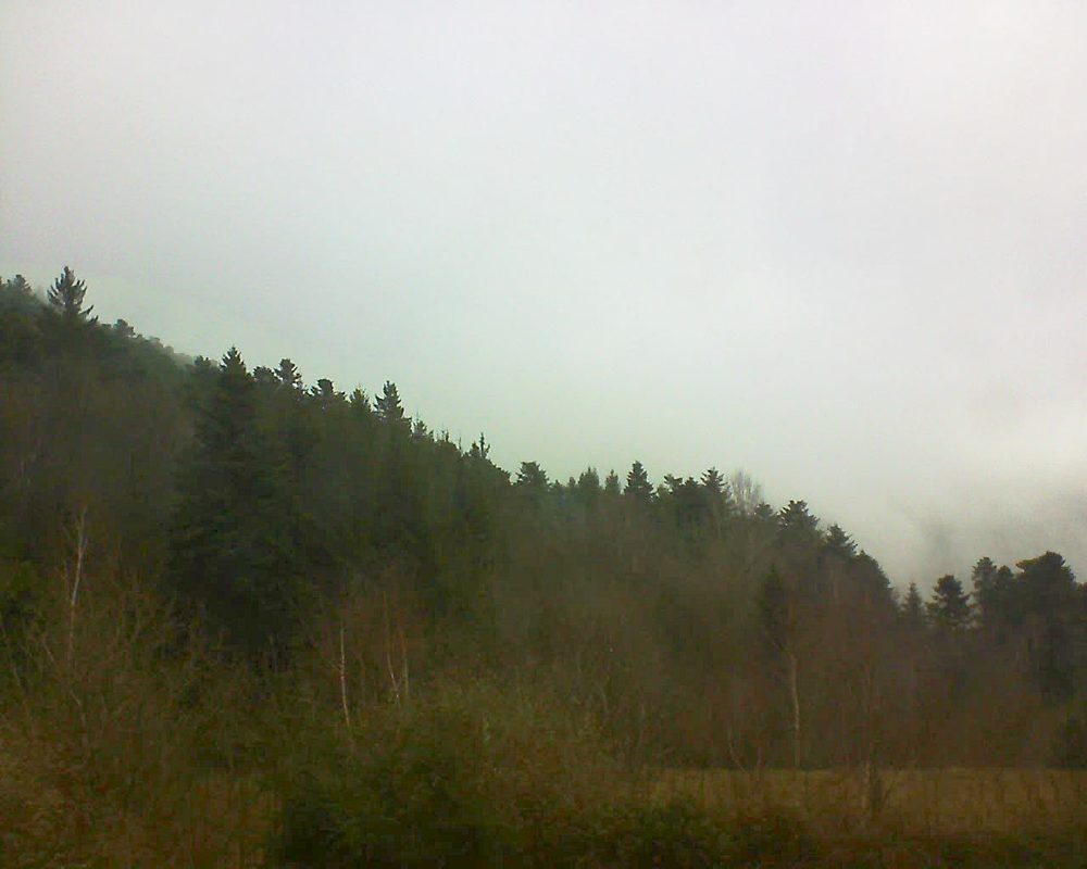 Le petit ballon vu depuis le Domaine Langmatt à Murbach le 12.01.2018 à 11:15 Le petit ballon (Alsace, Vosges) le 12.01.2018 à 11:15