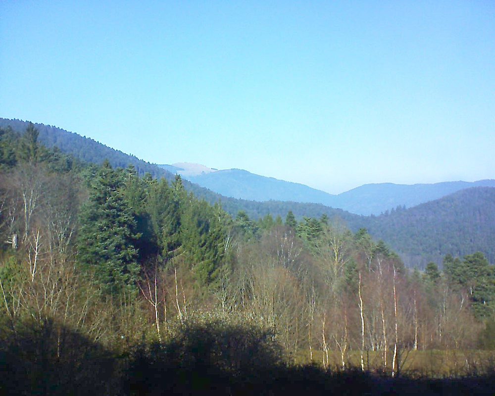 Le petit ballon vu depuis le Domaine Langmatt à Murbach le 14.01.2018 à 13:15 Le petit ballon (Alsace, Vosges) le 14.01.2018 à 13:15