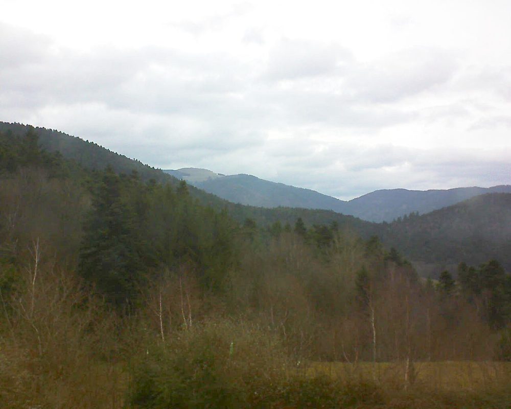 Le petit ballon vu depuis le Domaine Langmatt à Murbach le 15.01.2018 à 12:45 Le petit ballon (Alsace, Vosges) le 15.01.2018 à 12:45