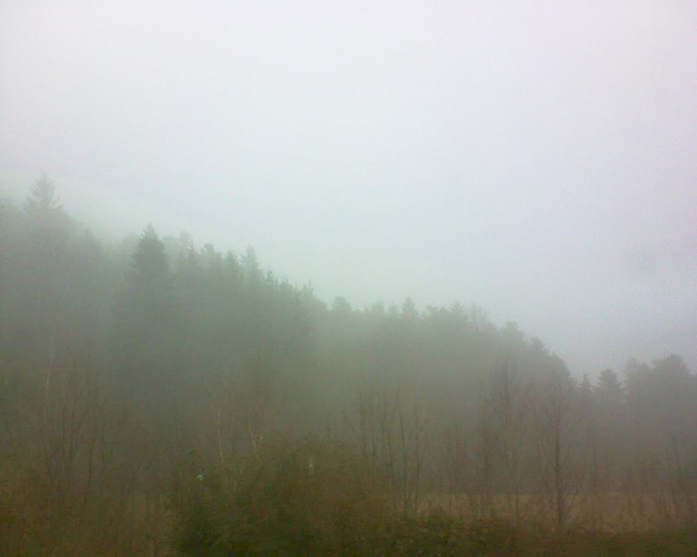 Le petit ballon vu depuis le Domaine Langmatt à Murbach le 26.01.2018 à 11:15 Le petit ballon (Alsace, Vosges) le 26.01.2018 à 11:15