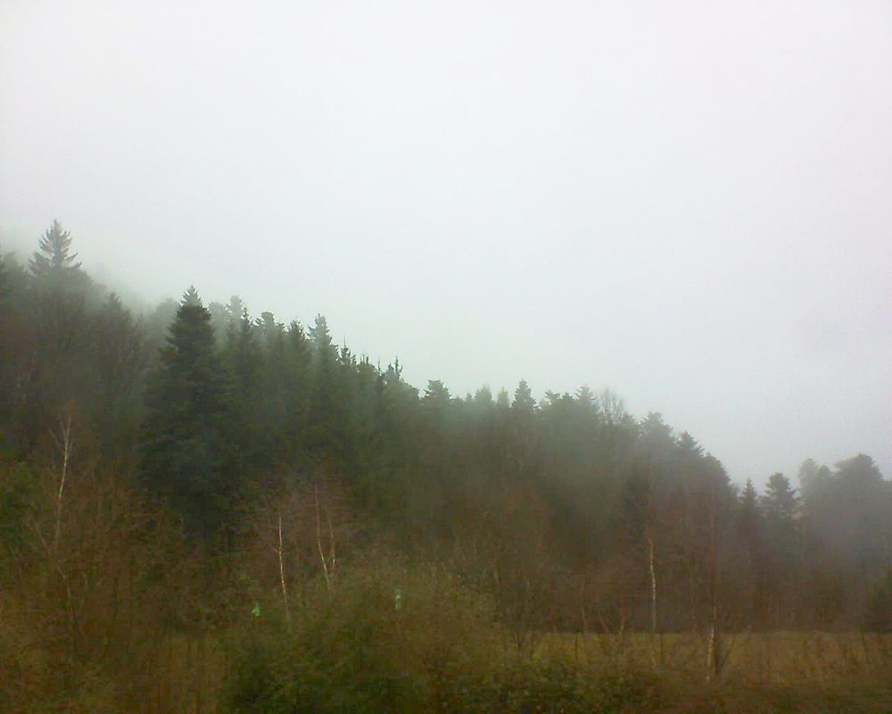 Le petit ballon vu depuis le Domaine Langmatt à Murbach le 26.01.2018 à 11:45 Le petit ballon (Alsace, Vosges) le 26.01.2018 à 11:45