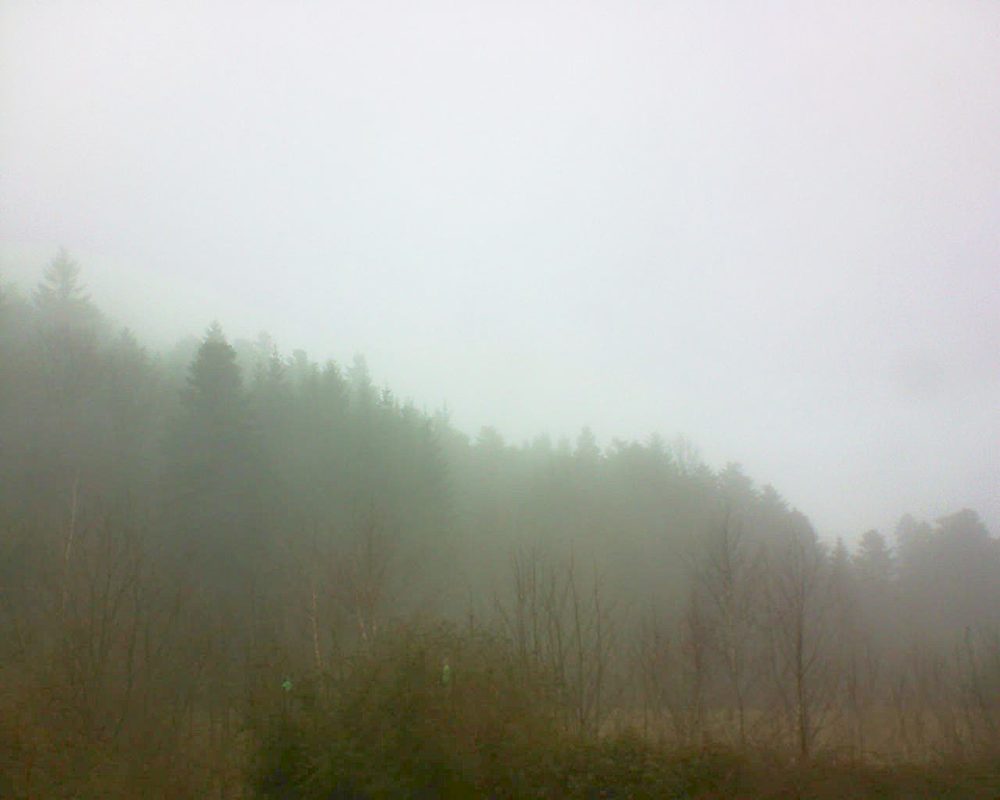 Le petit ballon vu depuis le Domaine Langmatt à Murbach le 26.01.2018 à 12:00 Le petit ballon (Alsace, Vosges) le 26.01.2018 à 12:00