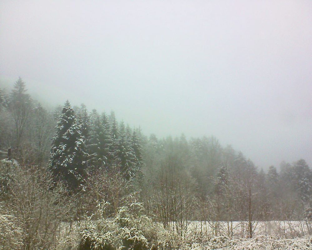 Le petit ballon vu depuis le Domaine Langmatt à Murbach le 17.02.2018 à 12:00 Le petit ballon (Alsace, Vosges) le 17.02.2018 à 12:00